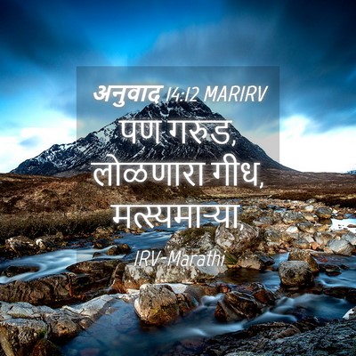 Picture 04 - अनुवाद 14:12 MARIRV - पण गरुड, लोळणारा - Bible Verse Picture