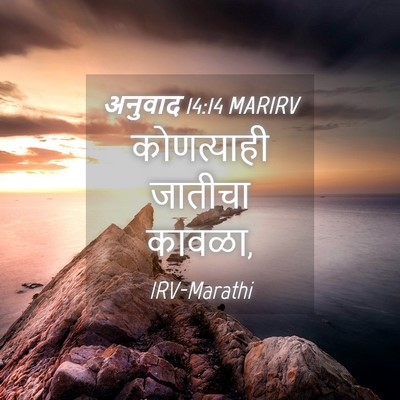 Picture 04 - अनुवाद 14:14 MARIRV - कोणत्याही जातीचा - Bible Verse Picture