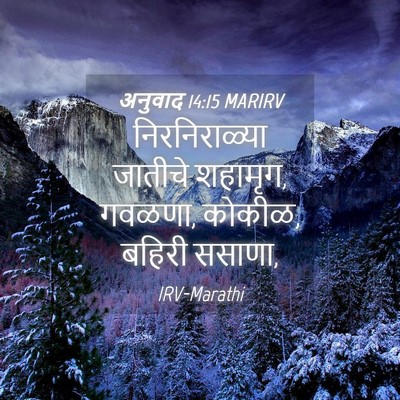 Picture 04 - अनुवाद 14:15 MARIRV - निरनिराळ्या - Bible Verse Picture