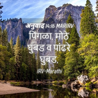 Picture 04 - अनुवाद 14:16 MARIRV - पिंगळा, मोठे घुबड व - Bible Verse Picture