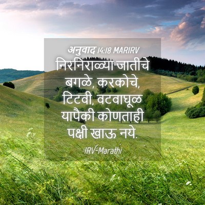 Picture 04 - अनुवाद 14:18 MARIRV - निरनिराळ्या - Bible Verse Picture