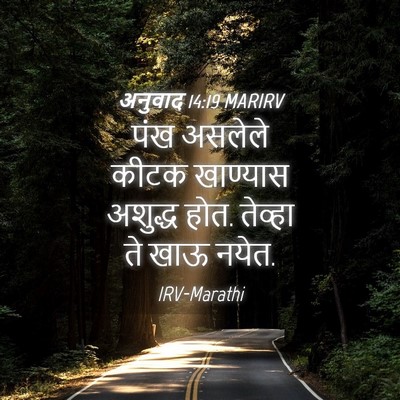 Picture 04 - अनुवाद 14:19 MARIRV - पंख असलेले कीटक - Bible Verse Picture