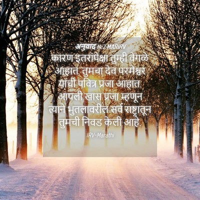 Picture 04 - अनुवाद 14:2 MARIRV - कारण इतरांपेक्षा - Bible Verse Picture