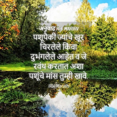 Picture 04 - अनुवाद 14:6 MARIRV - पशूपैकी ज्यांचे - Bible Verse Picture