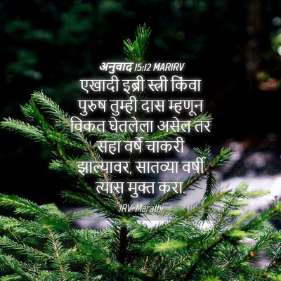 Picture 04 - अनुवाद 15:12 MARIRV - एखादी इब्री - Bible Verse Picture