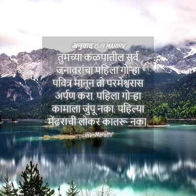 Picture 04 - अनुवाद 15:19 MARIRV - तुमच्या कळपातील - Bible Verse Picture