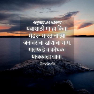 Picture 04 - अनुवाद 18:3 MARIRV - यज्ञासाठी गोऱ्हा - Bible Verse Picture