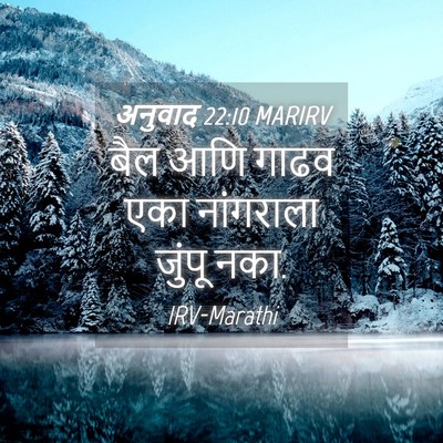 Picture 04 - अनुवाद 22:10 MARIRV - बैल आणि गाढव एका - Bible Verse Picture