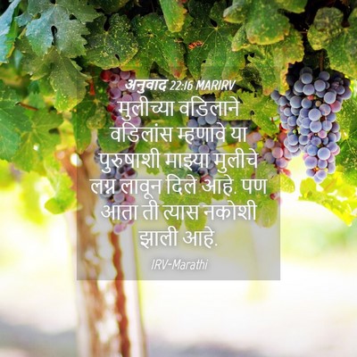 Picture 04 - अनुवाद 22:16 MARIRV - मुलीच्या वडिलाने - Bible Verse Picture