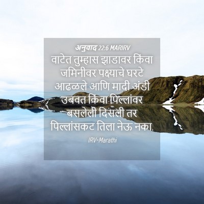 Picture 04 - अनुवाद 22:6 MARIRV - वाटेत तुम्हास - Bible Verse Picture