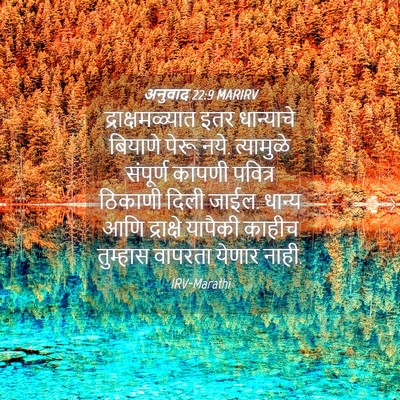 Picture 04 - अनुवाद 22:9 MARIRV - द्राक्षमळ्यात इतर - Bible Verse Picture