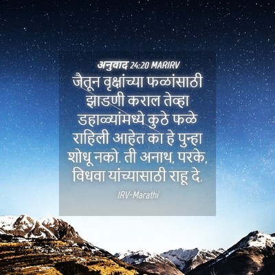 Picture 04 - अनुवाद 24:20 MARIRV - जैतून वृक्षांच्या - Bible Verse Picture