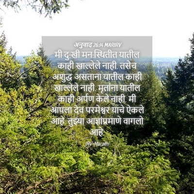 Picture 04 - अनुवाद 26:14 MARIRV - मी दु:खी मन:स्थितीत - Bible Verse Picture