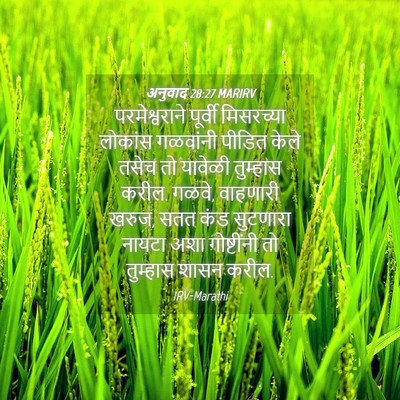 Picture 04 - अनुवाद 28:27 MARIRV - परमेश्वराने - Bible Verse Picture
