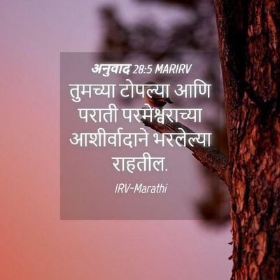 Picture 04 - अनुवाद 28:5 MARIRV - तुमच्या टोपल्या - Bible Verse Picture