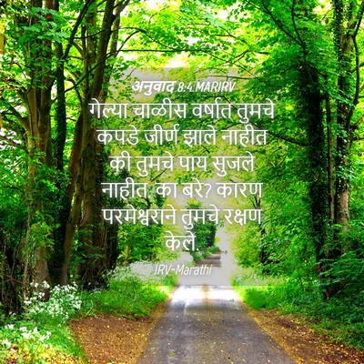 Picture 04 - अनुवाद 8:4 MARIRV - गेल्या चाळीस - Bible Verse Picture