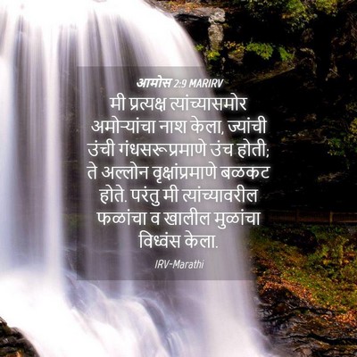 Picture 04 - आमोस 2:9 MARIRV - मी प्रत्यक्ष - Bible Verse Picture