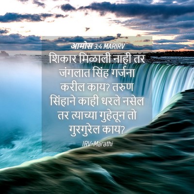 Picture 04 - आमोस 3:4 MARIRV - शिकार मिळाली नाही - Bible Verse Picture