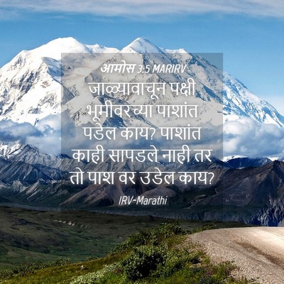 Picture 04 - आमोस 3:5 MARIRV - जाळ्यावाचून पक्षी - Bible Verse Picture