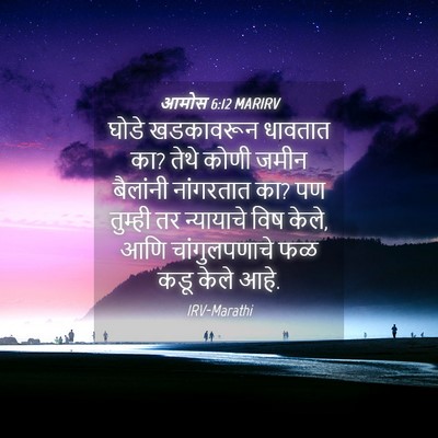 Picture 04 - आमोस 6:12 MARIRV - घोडे खडकावरून - Bible Verse Picture