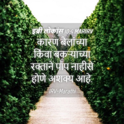 Picture 04 - इब्री लोकांस 10:4 MARIRV - कारण बैलांच्या - Bible Verse Picture