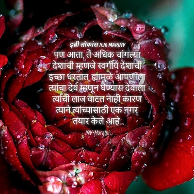 Picture 04 - इब्री लोकांस 11:16 MARIRV - पण आता, ते अधिक - Bible Verse Picture