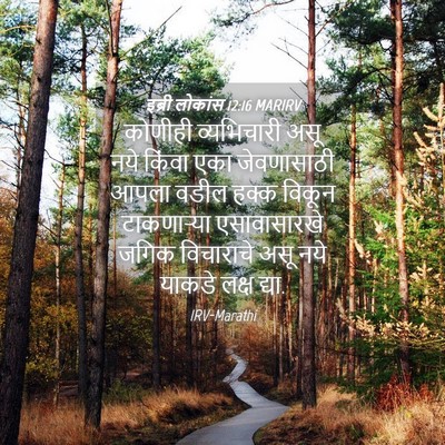 Picture 04 - इब्री लोकांस 12:16 MARIRV - कोणीही व्यभिचारी - Bible Verse Picture