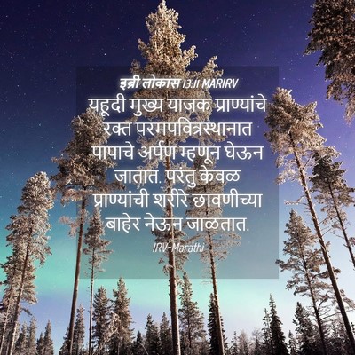 Picture 04 - इब्री लोकांस 13:11 MARIRV - यहूदी मुख्य याजक - Bible Verse Picture