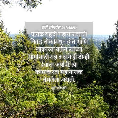 Picture 04 - इब्री लोकांस 5:1 MARIRV - प्रत्येक यहूदी - Bible Verse Picture