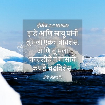Picture 04 - ईयोब 10:11 MARIRV - हाडे आणि स्नायू - Bible Verse Picture