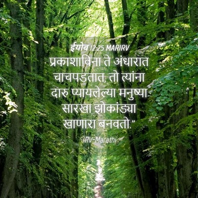Picture 04 - ईयोब 12:25 MARIRV - प्रकाशाविना ते - Bible Verse Picture