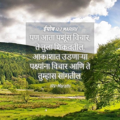 Picture 04 - ईयोब 12:7 MARIRV - पण आता पशूंस विचार, - Bible Verse Picture
