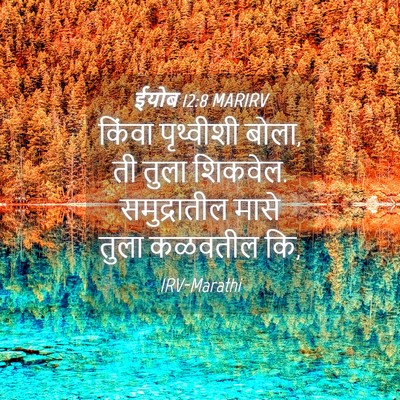 Picture 04 - ईयोब 12:8 MARIRV - किंवा पृथ्वीशी - Bible Verse Picture