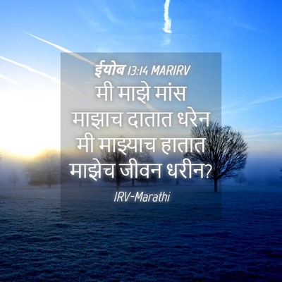 Picture 04 - ईयोब 13:14 MARIRV - मी माझे मांस माझाच - Bible Verse Picture