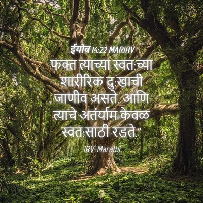 Picture 04 - ईयोब 14:22 MARIRV - फक्त त्याच्या - Bible Verse Picture