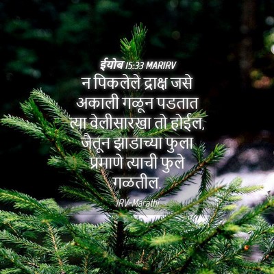 Picture 04 - ईयोब 15:33 MARIRV - न पिकलेले द्राक्ष - Bible Verse Picture