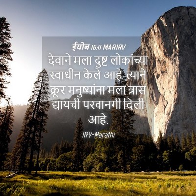Picture 04 - ईयोब 16:11 MARIRV - देवाने मला दुष्ट - Bible Verse Picture