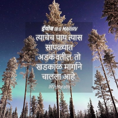 Picture 04 - ईयोब 18:8 MARIRV - त्याचेच पाय त्यास - Bible Verse Picture