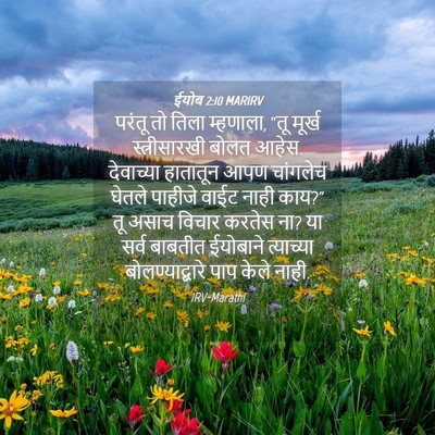 Picture 04 - ईयोब 2:10 MARIRV - परंतू तो तिला - Bible Verse Picture