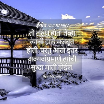 Picture 04 - ईयोब 20:11 MARIRV - तो तरुण होता - Bible Verse Picture