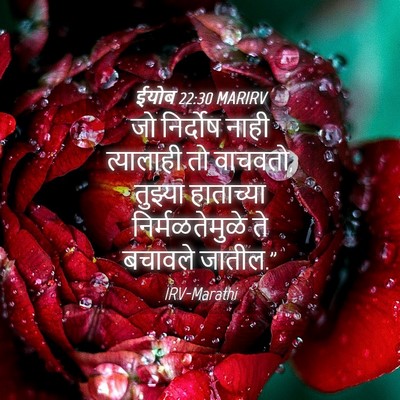 Picture 04 - ईयोब 22:30 MARIRV - जो निर्दोष नाही - Bible Verse Picture