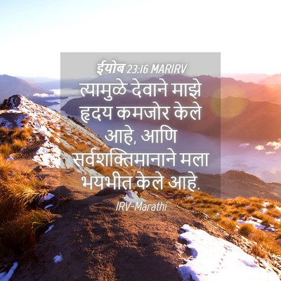 Picture 04 - ईयोब 23:16 MARIRV - त्यामुळे देवाने - Bible Verse Picture