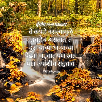 Picture 04 - ईयोब 24:10 MARIRV - ते कपडे - Bible Verse Picture