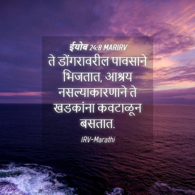 Picture 04 - ईयोब 24:8 MARIRV - ते डोंगरावरील - Bible Verse Picture