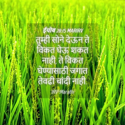 Picture 04 - ईयोब 28:15 MARIRV - तुम्ही सोने देऊन - Bible Verse Picture
