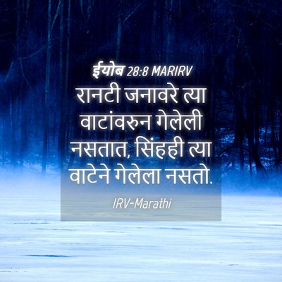 Picture 04 - ईयोब 28:8 MARIRV - रानटी जनावरे त्या - Bible Verse Picture