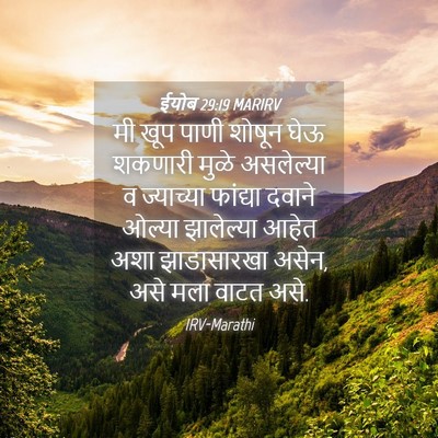Picture 04 - ईयोब 29:19 MARIRV - मी खूप पाणी शोषून - Bible Verse Picture
