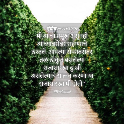 Picture 04 - ईयोब 29:25 MARIRV - मी त्यांचा प्रमुख - Bible Verse Picture