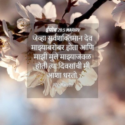 Picture 04 - ईयोब 29:5 MARIRV - जेव्हा - Bible Verse Picture