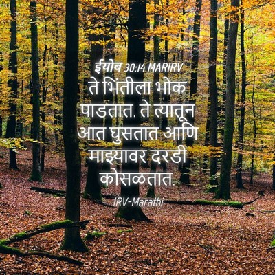 Picture 04 - ईयोब 30:14 MARIRV - ते भिंतीला भोक - Bible Verse Picture